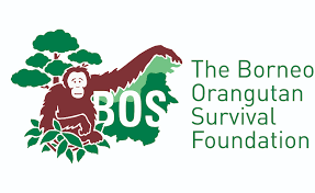 organisation BOS logo